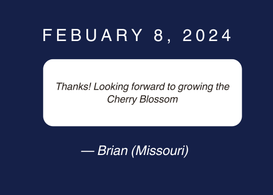 Brian+Review.png