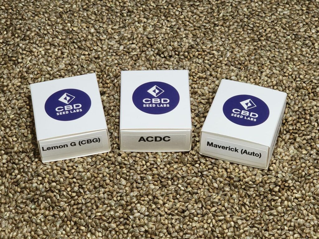 Feminized Hemp Seed Sampler Pack