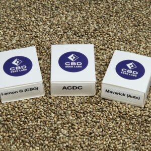 Feminized Hemp Seed Sampler Pack